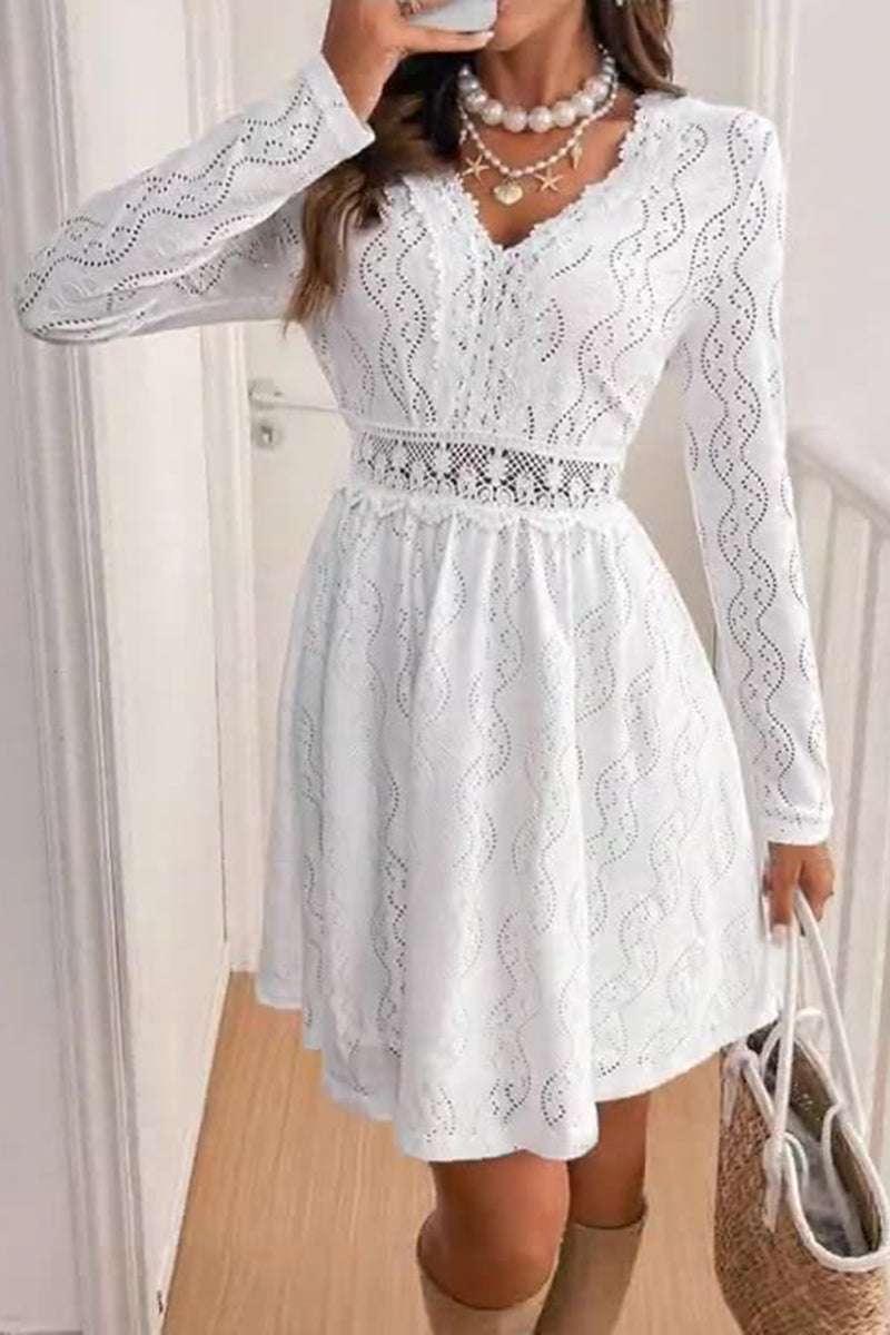 Elegant Eyelet Lace Casual Dress