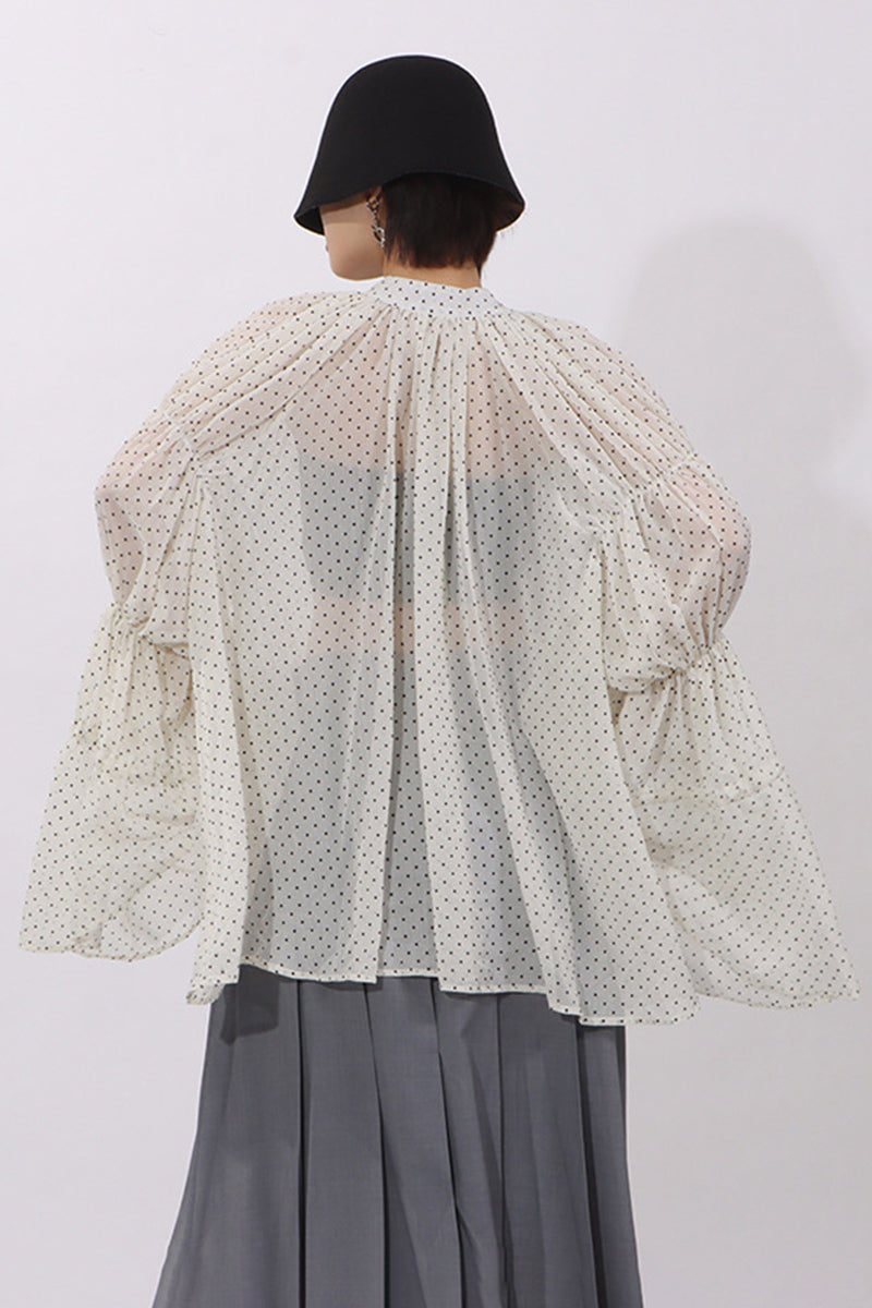 Ruffled Polka Dot Blouse